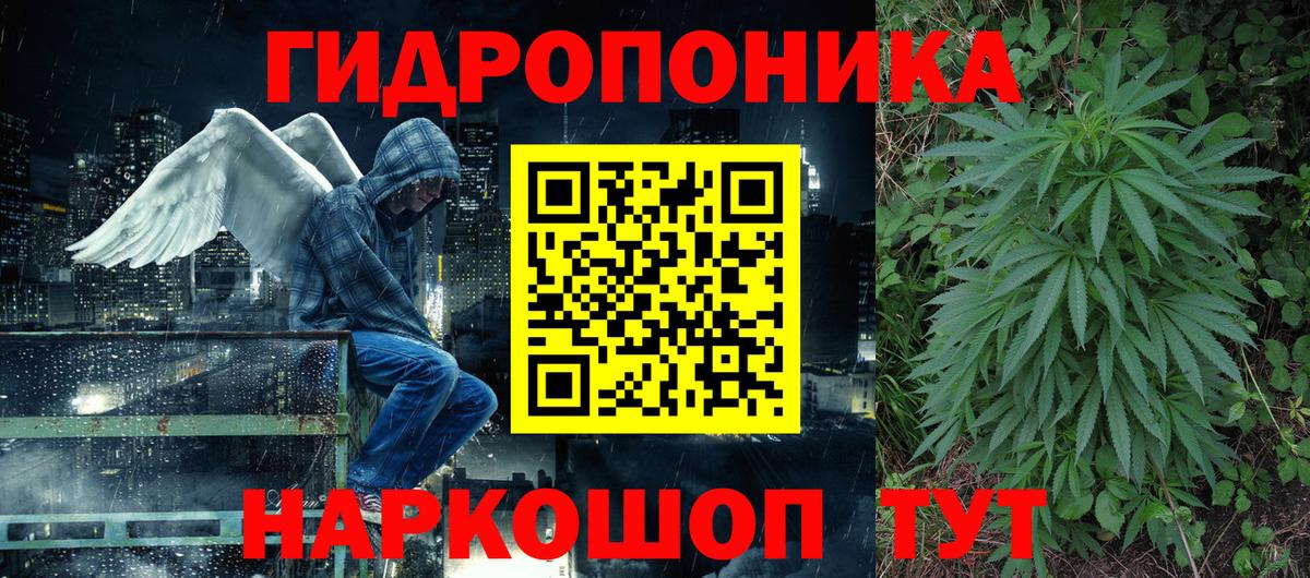 Городец  Бошки марихуана план  Шишки марихуана VHQ  Каннабис MAZAR  Вход с VPN 